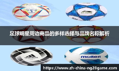 足球明星周边商品的多样选择与品牌名称解析